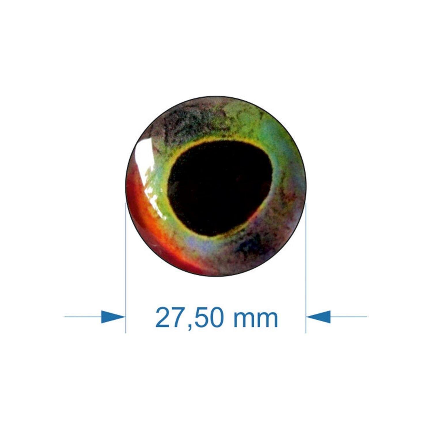Balık gözü 27,5-04