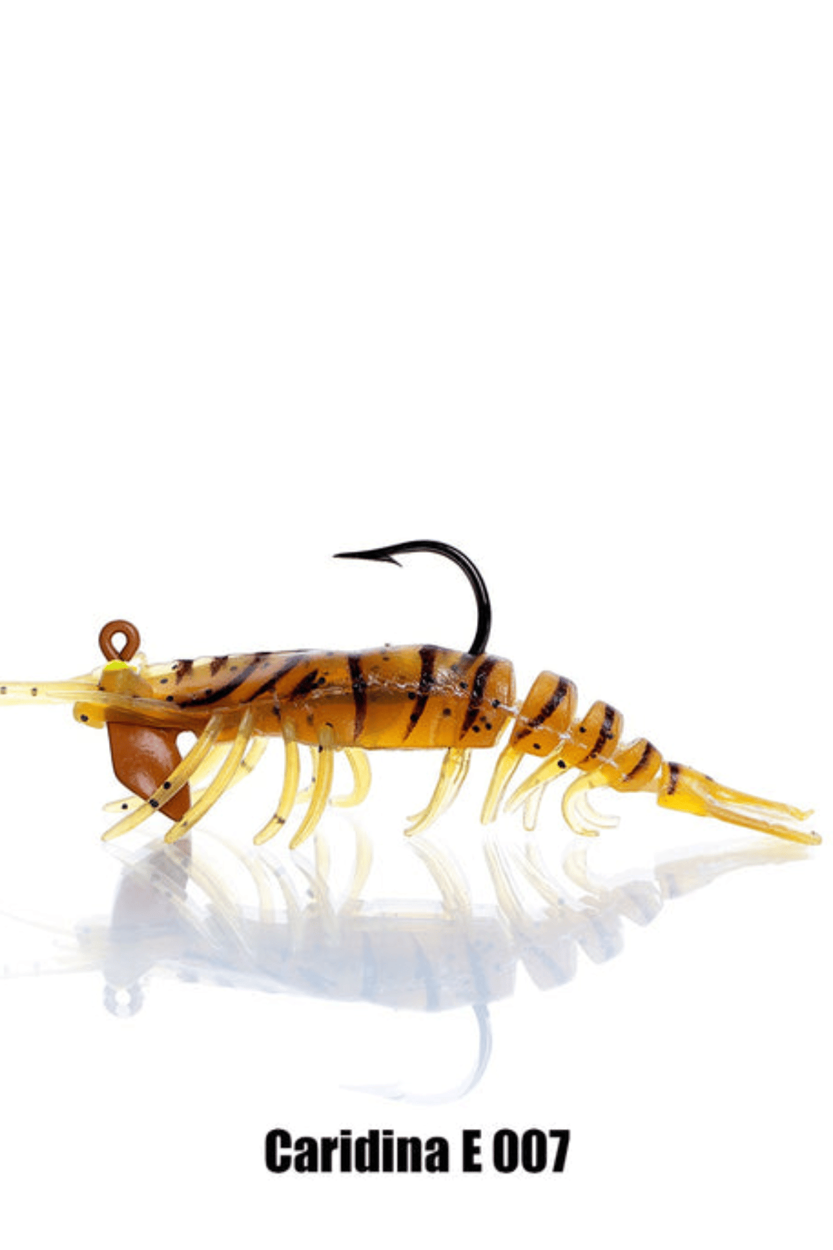 Pandora Karides Caridina E007