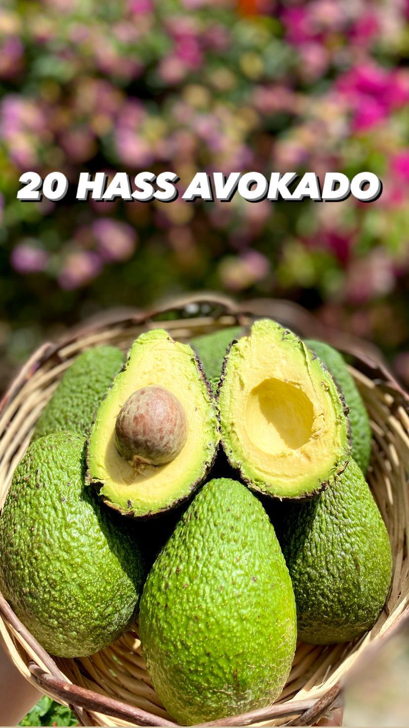 20 HASS AVOKADO (140gr ve üzeri)