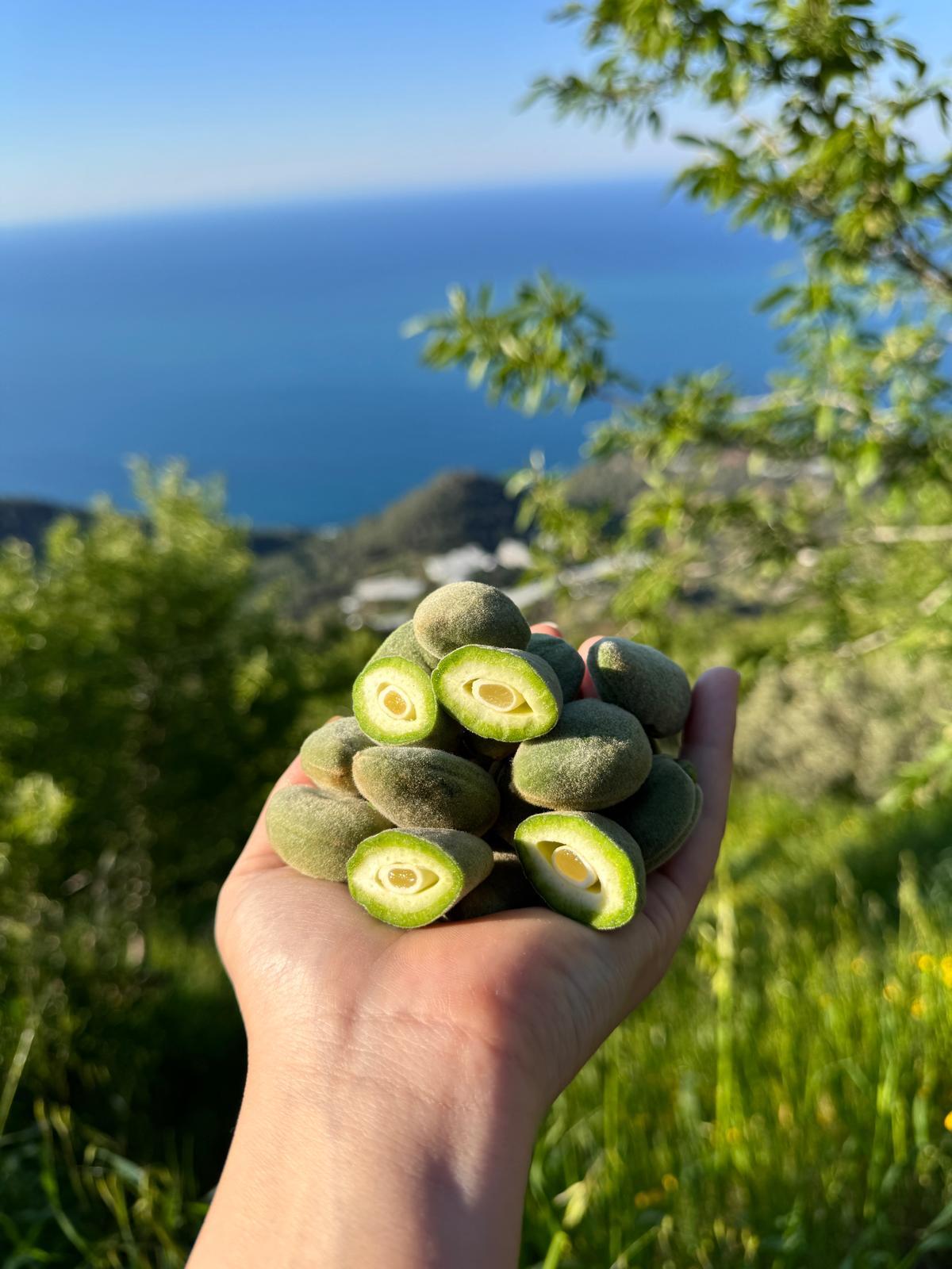 Datça Çağla Badem 500 gr