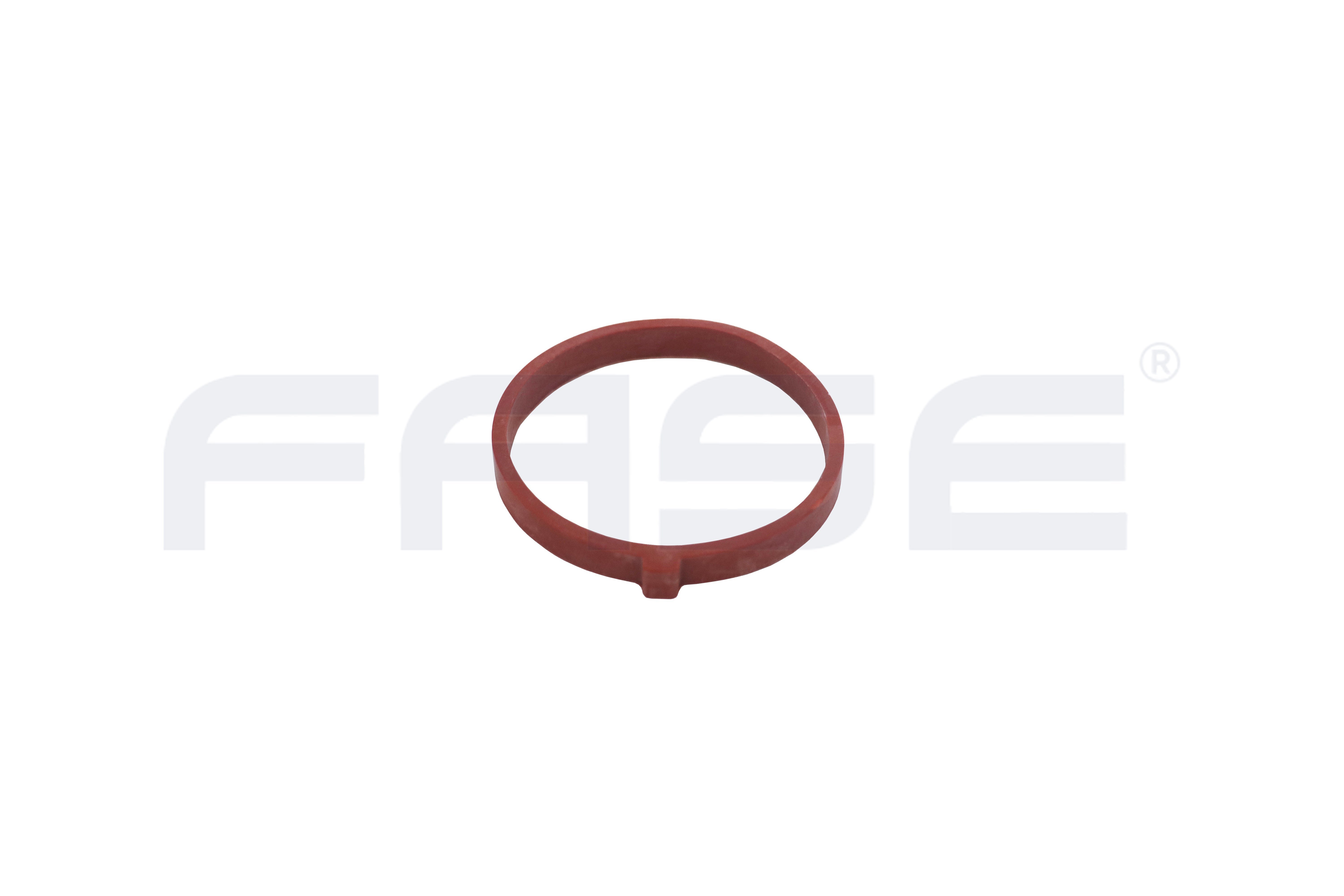 EMME MANİFOLD CONTA CONNECT FOCUS 1.5ECOBLUE 18> - FASE - 11-246-005