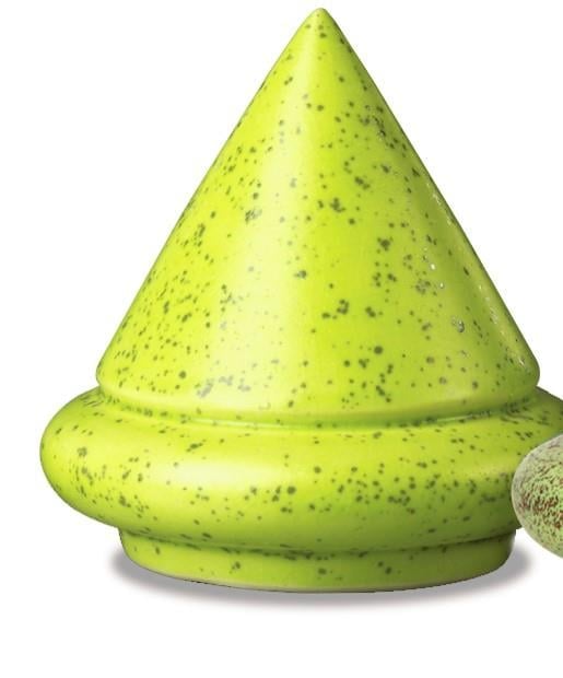 a-631-kiwi-d4cbb6.jpeg