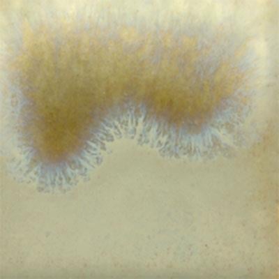 akiskan-sir-clear-cascade-pc-601-mayco-e1f-0c.jpeg