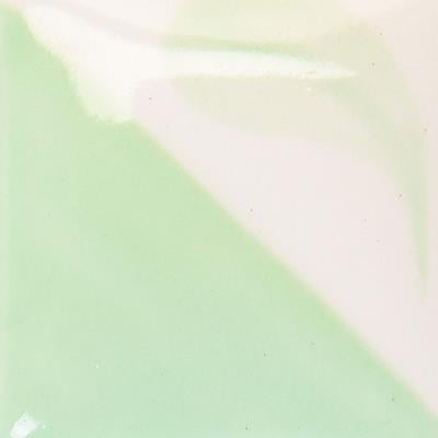 cn-161-light-wintergreen-2-3b2e.jpeg