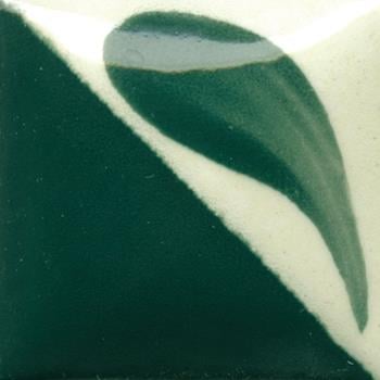 cn-163dark-wintergreen-c63a84.jpeg