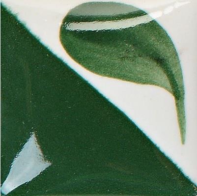 cn-193-dark-ivy-f-0624.jpeg