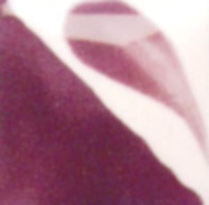 cn-322bright-plum-08d-48.jpeg
