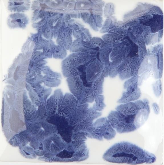 cr-877-blue-surge-33bbce.jpeg