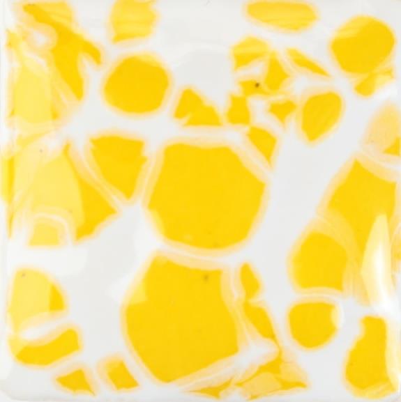 cr-880-yellow-burst-1f8-49.jpeg