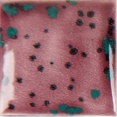 cr-906-peppered-raspberry-aa4040.jpeg