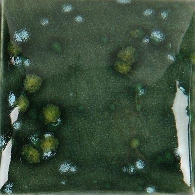 cr-909-moss-green-061-42.jpeg
