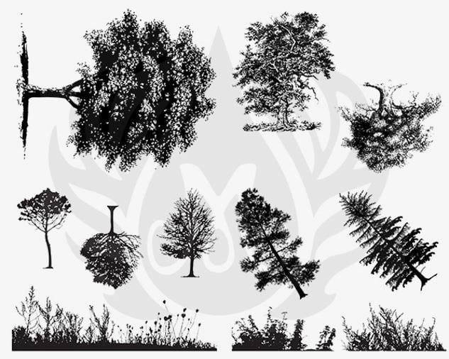 DESIGNER SILKSCREEN BOTANICAL – TREES DSS-0110