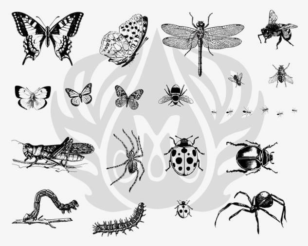 designer-silkscreen-bugs-dss-0113-d337ce.jpeg