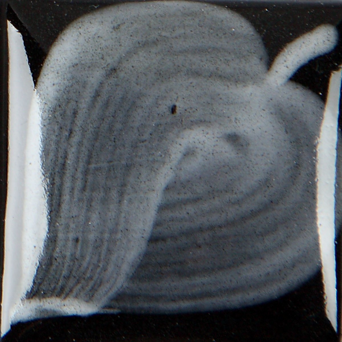 ez-013-white-295ml-b07e-b.png
