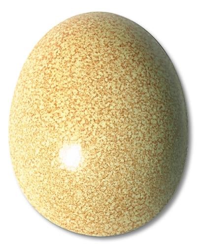 fe-5605-sandia-neu-81-45e.jpeg