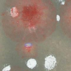 gz-liq-ctl-15-pt-moonscape-acc4-5.jpeg