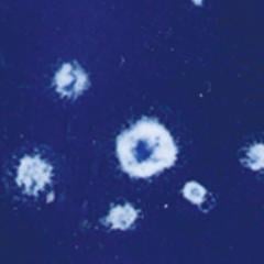 gz-liq-ctl-22-pt-milky-way-10e0ee.jpeg