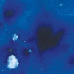 gz-liq-ctl-26-pt-sea-mist-4b9e66.jpeg