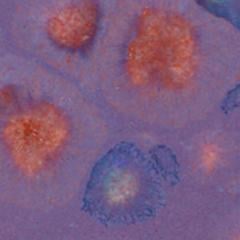 gz-liq-ctl-71-pt-purple-blaze-ddfe6-.jpeg