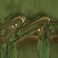 gz-liq-pc-42-pt-seaweed-f94076.jpeg