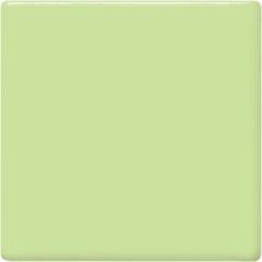 gz-liq-tp-40-pt-mint-green-84-84d.jpeg