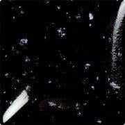 in-1216-very-black-sprinkles-cb4540.jpeg