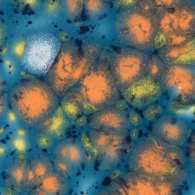 mayco-cg-983-koi-pond-kristal-sir-b7-5ec.jpeg