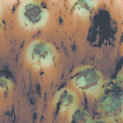 mayco-s-2709-cappuccino-mint-yari-seff-4a652-.jpeg