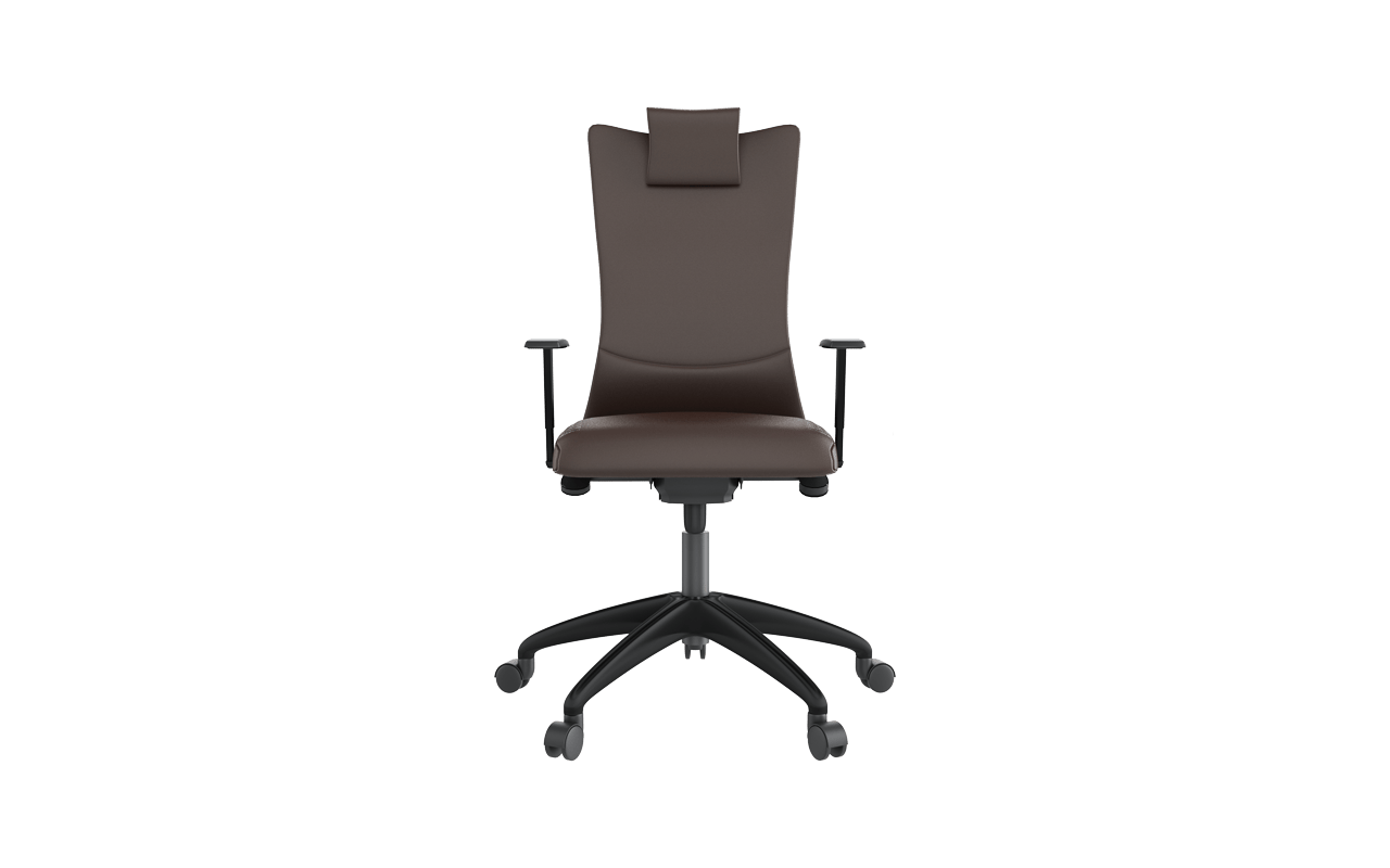 Apex Yönetici Koltuğu