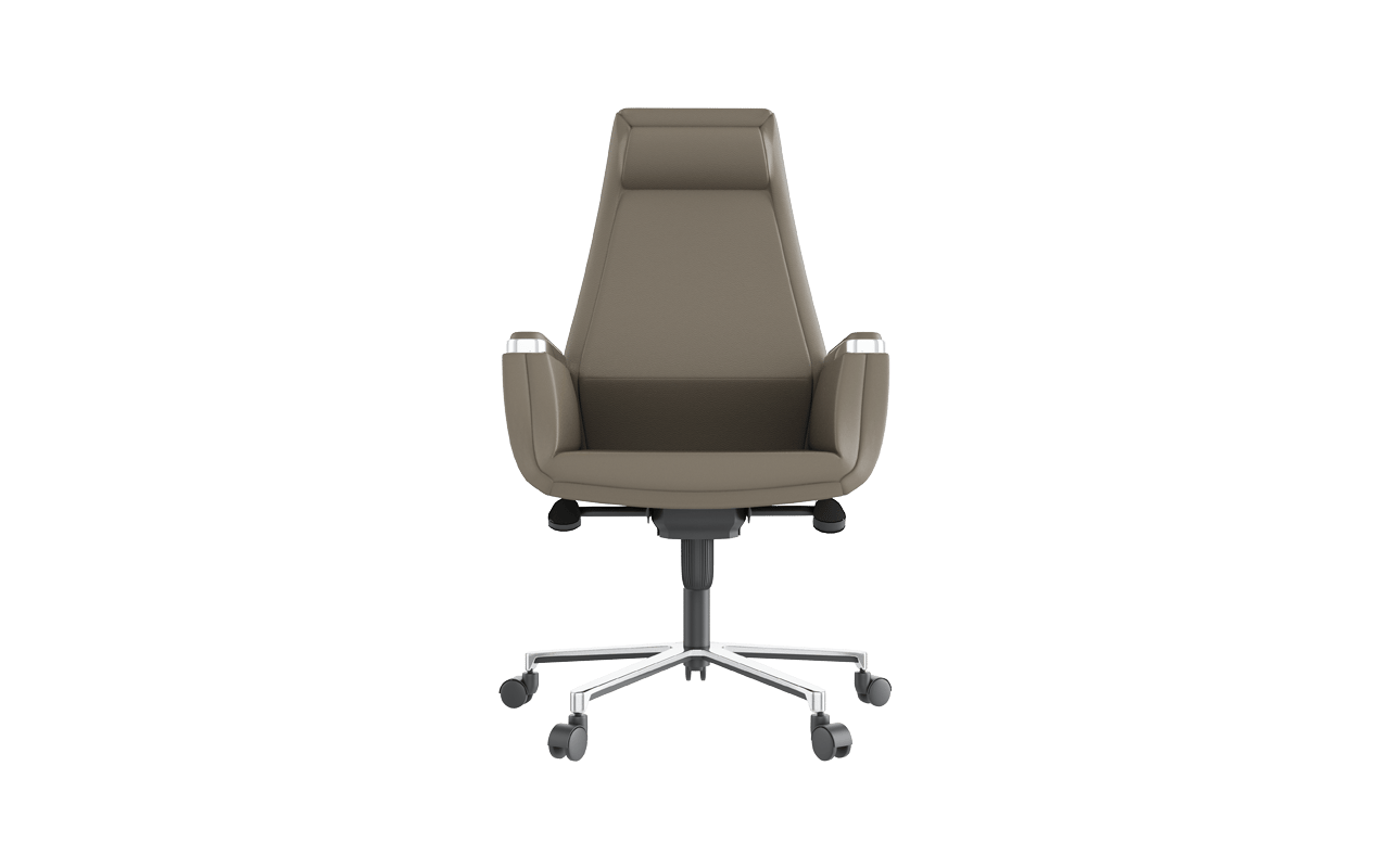 Argent Yönetici Koltuğu