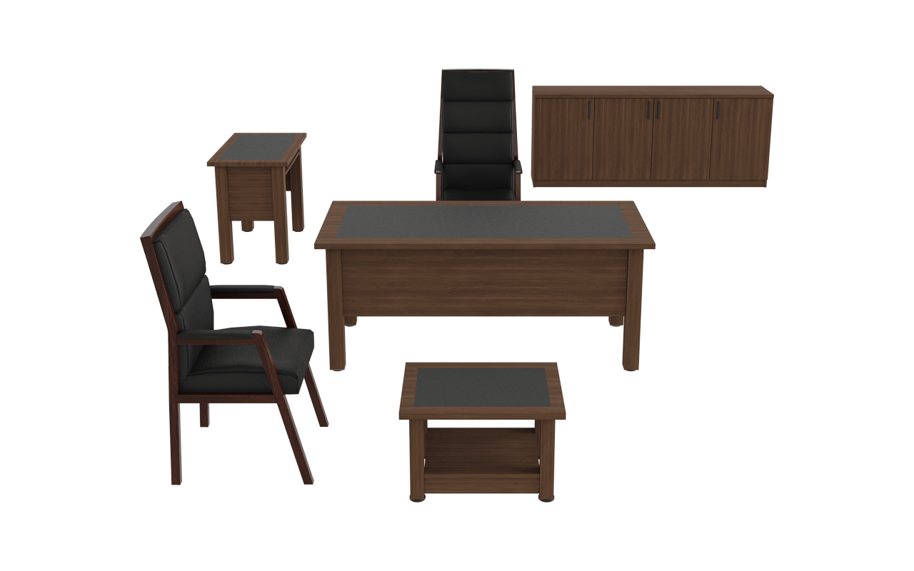 Vega Yönetici Takımı