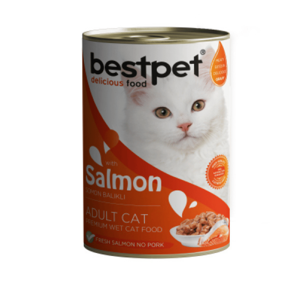 Bestpet Somon Balıklı Yetişkin Kedi Konservesi 400gr