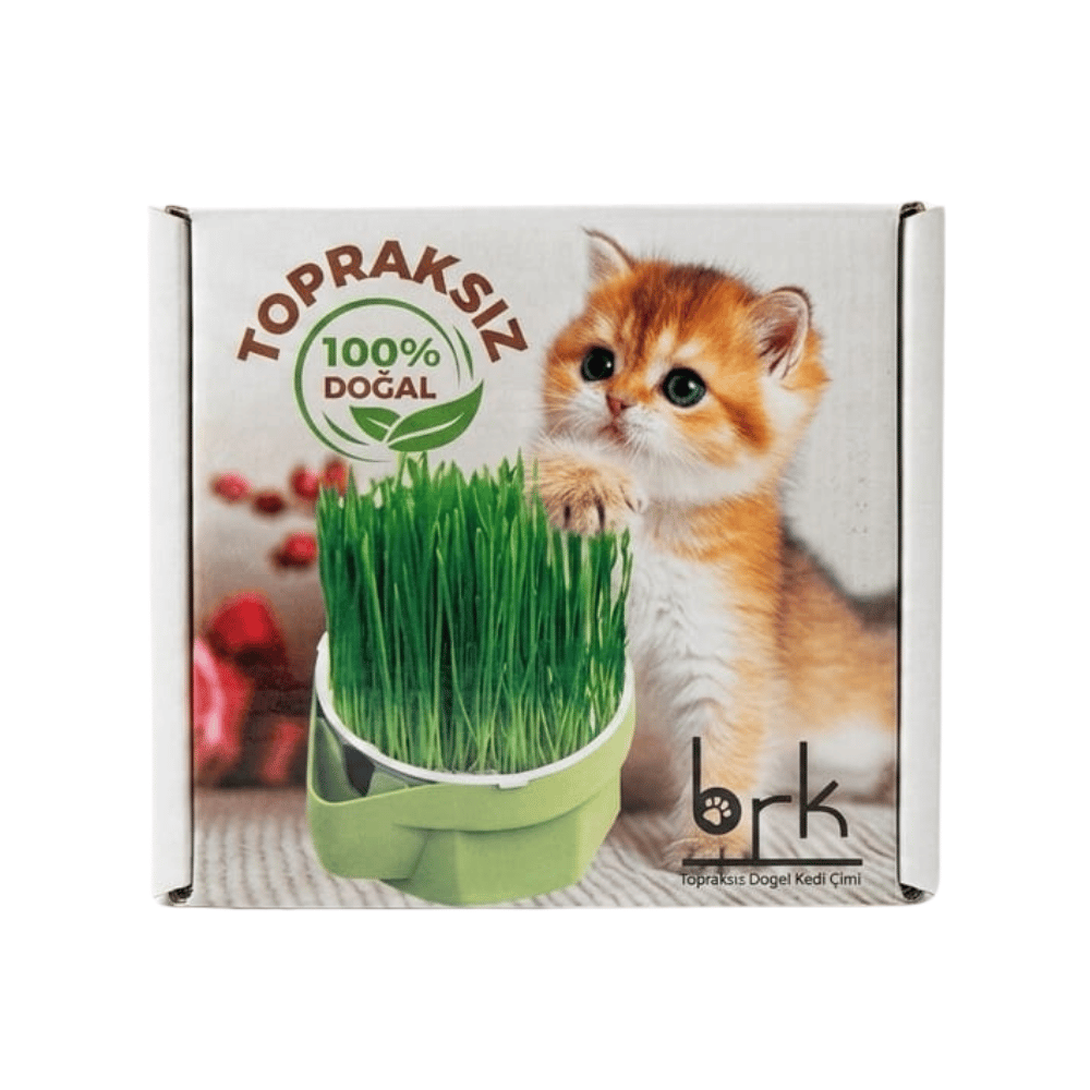 BRK Topraksız Doğal Kedi Çimi
