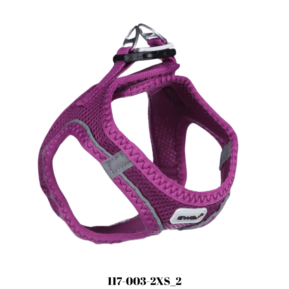 Ewox Air Mesh Mor Göğüs Tasması 3XS