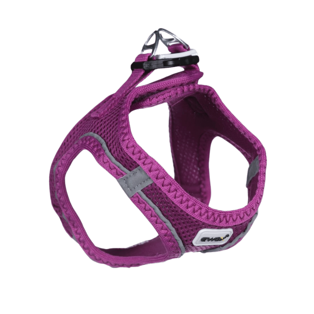 Ewox Air Mesh Mor Göğüs Tasması M