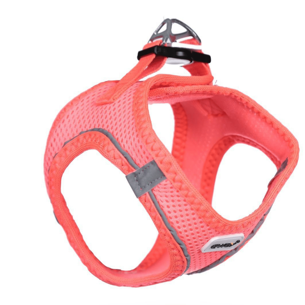 Ewox Air Mesh Pembe Göğüs Tasması 2XS