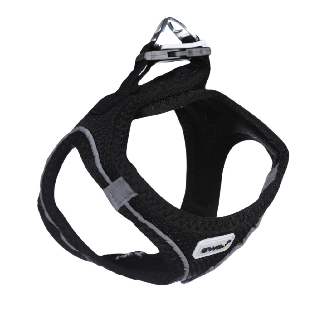 Ewox Air Mesh Siyah Göğüs Tasması S