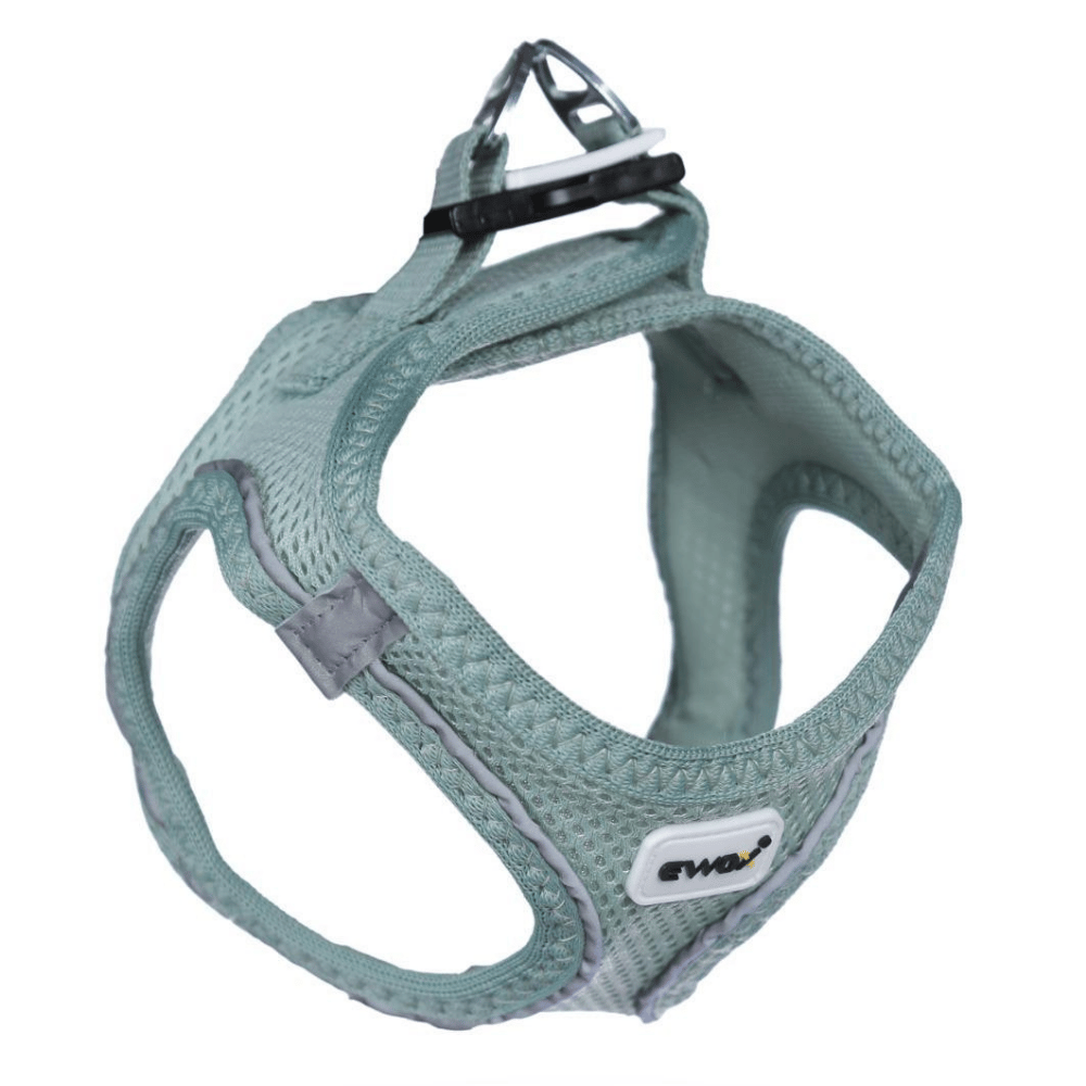 Ewox Air Mesh Su Yeşili Göğüs Tasması L