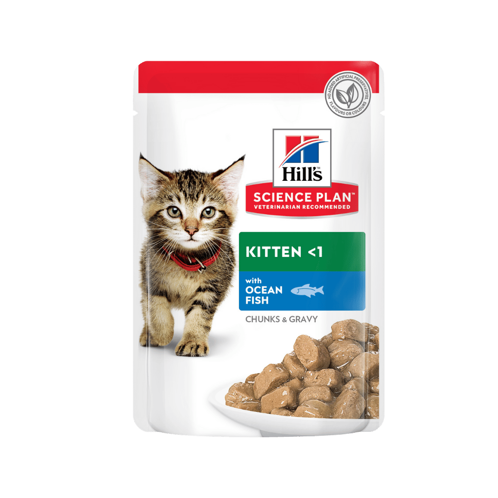 Hill's Pouch Okyanus Balıklı Yavru Kedi Konservesi 12x85gr