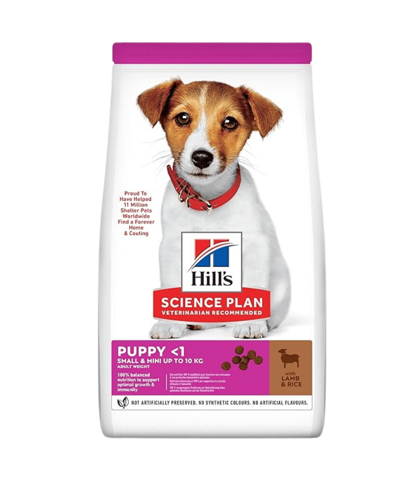 Hill's Scıence Plan Kuzulu ve Pirinçli Küçük ve Mini Irk Yetişkin Köpek Maması 6 kg