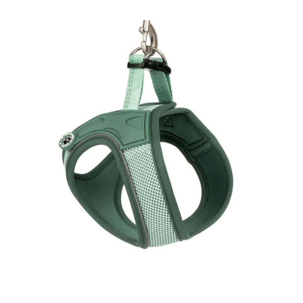 Matrix 2.0 Air Vest Köpek Göğüs Tasması - Jade Xlarge