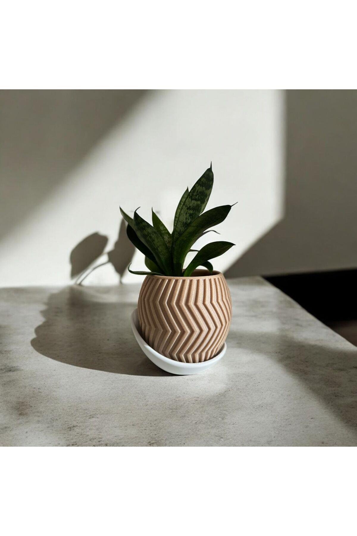Zigzag Çizgili Saksı