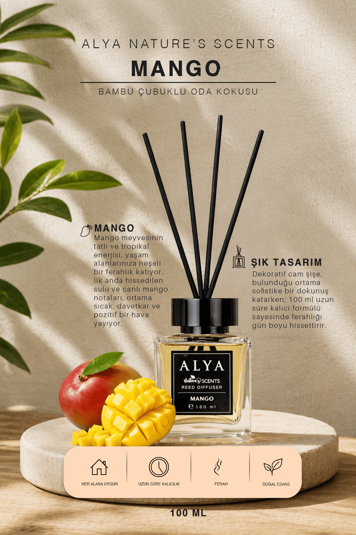 Nature's Scents Mango Bambu Çubuklu Oda Kokusu- Mango Kokusu
