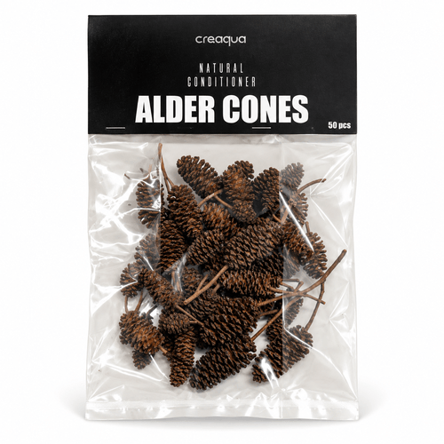 Creaqua Alder Cones (Kızılağaç Kozalağı) 50 Adet