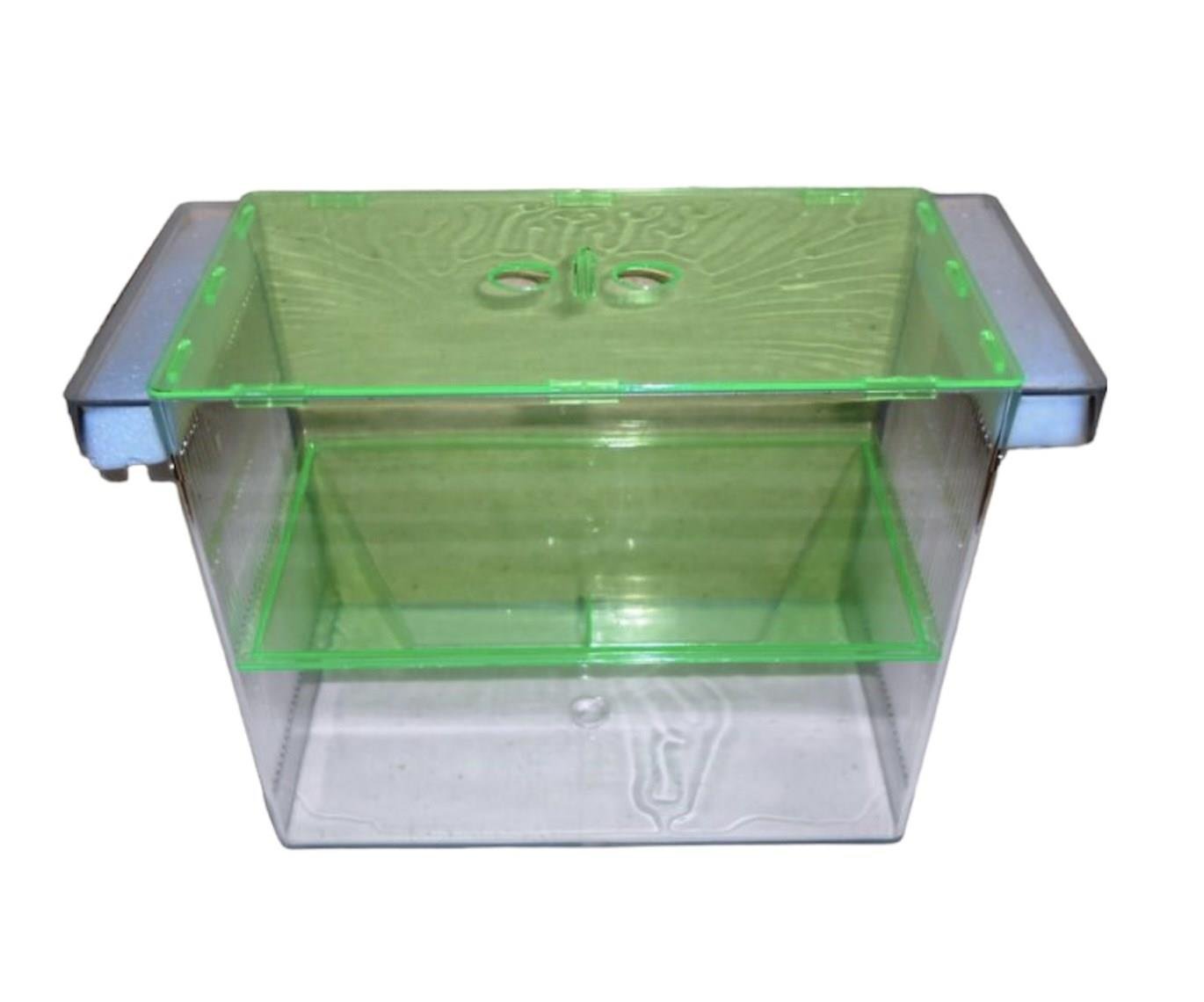 Plastik Yavruluk (dev)