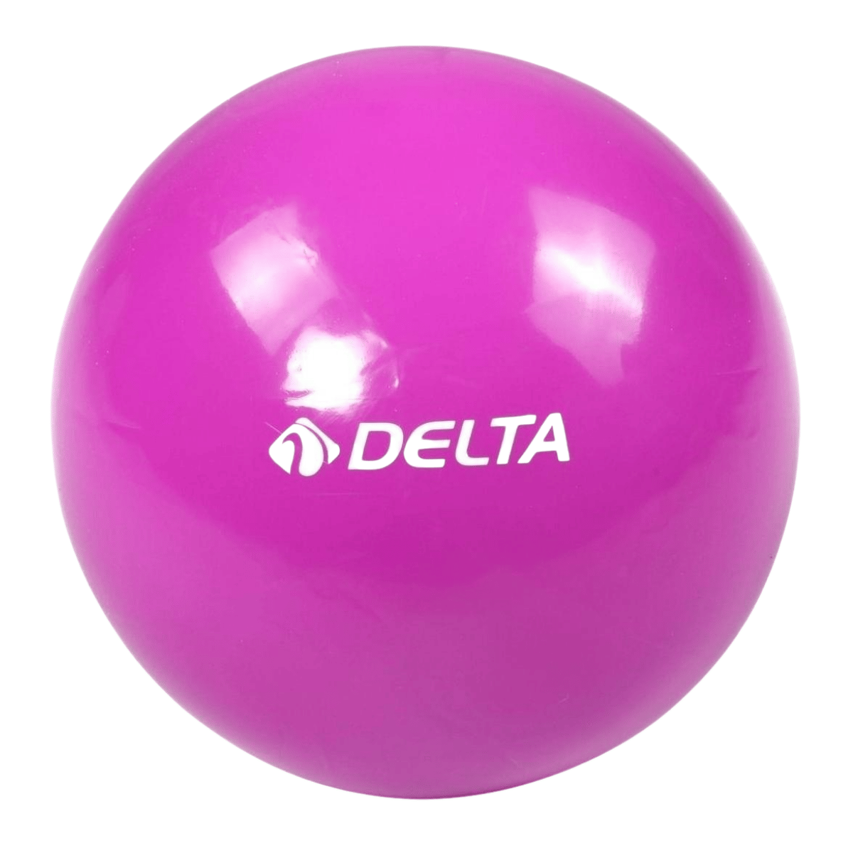 Delta 25 Cm Pilates Topu Mor