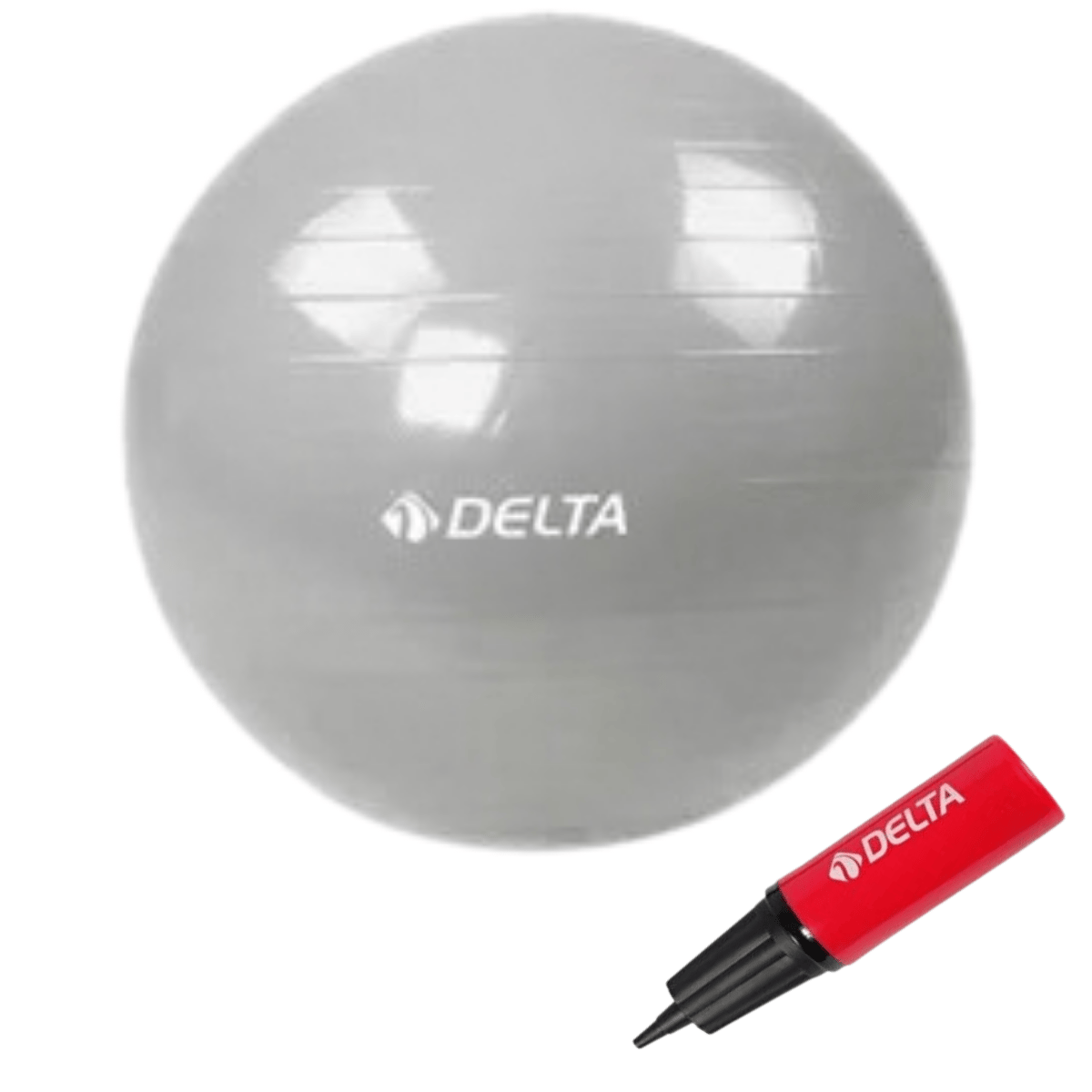 Delta 75 Cm Kutulu Pilates Topu Gümüş FGP7647 