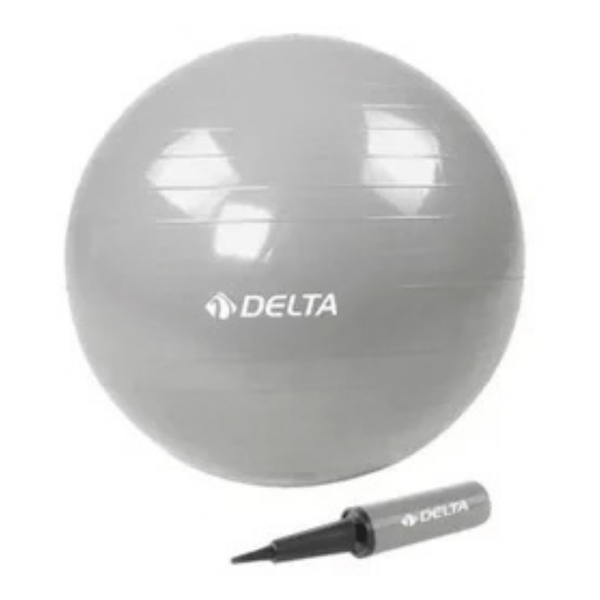 Delta 75 Cm Pilates Topu Gümüş GMY476