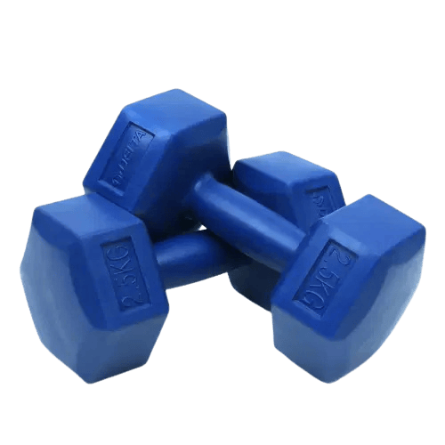 Delta BDC228 2,5 Kg Mavi Dambıl Çiftli
