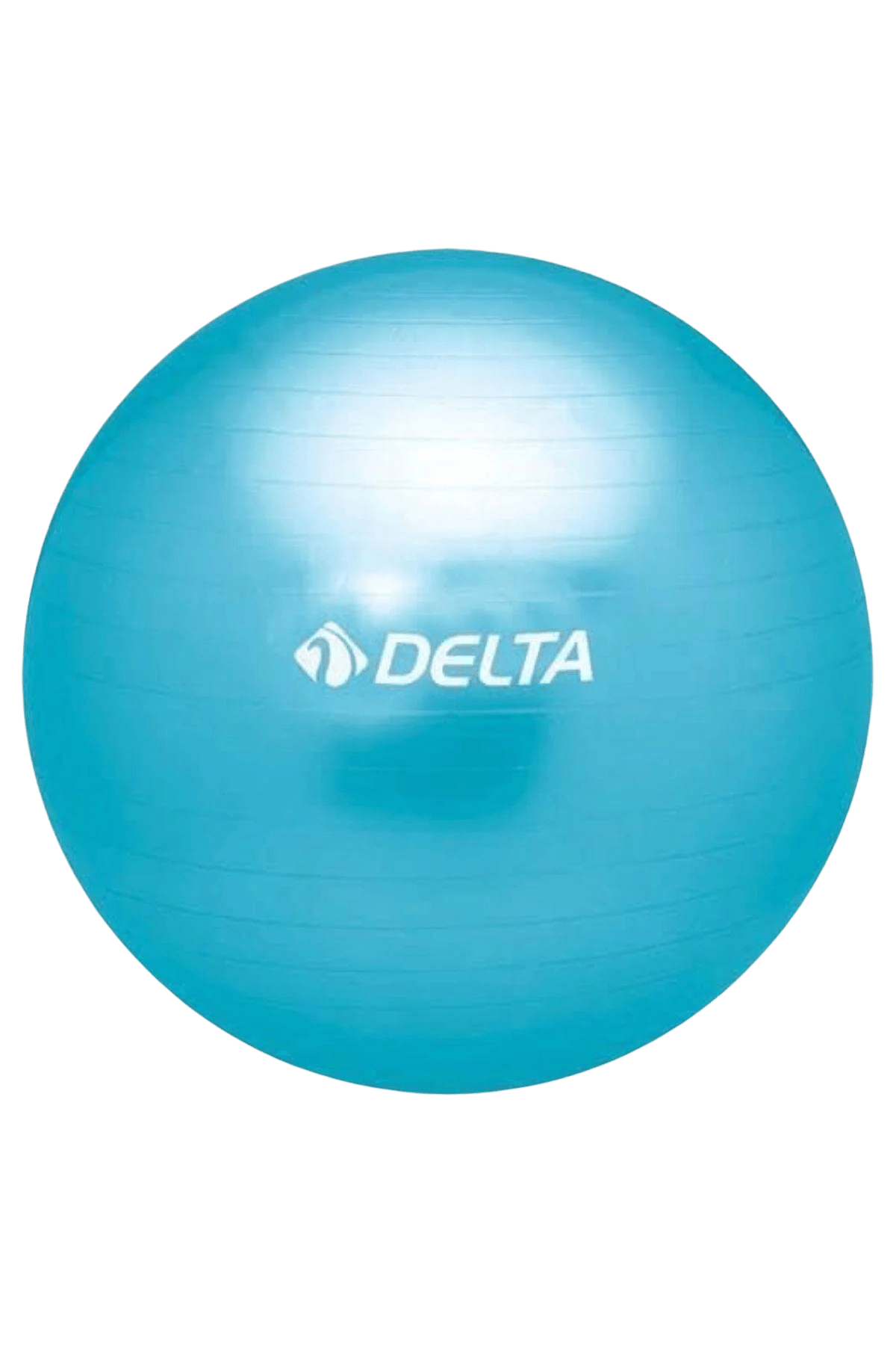 Delta TMB157 Mavi Pilates Topu 20 cm